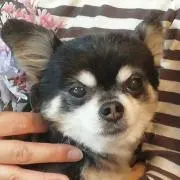 funakoママ