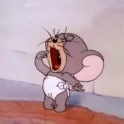 かぶの画像