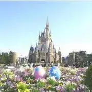ふりなの画像