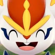 ぴの画像