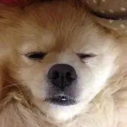 上