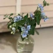 まぁちゃんの画像
