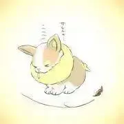 Kita.の画像