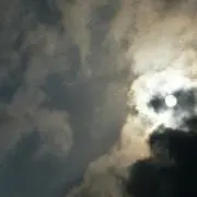 白
