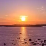 uの画像