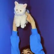 らの画像