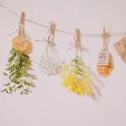 aiiiiiiの画像