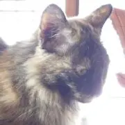 おの