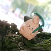 シワーヌの画像