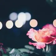 Hi( ´ ▽ ` )ノの画像