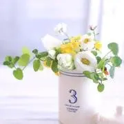 超美品]セレナsr psa10 ナンジャモ sr キハダ srセット - メルカリ