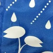 ショウの画像