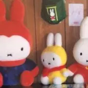 もちゃんの画像
