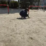 DDGOの画像