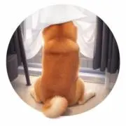 こてちの画像