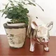 UM♡の画像