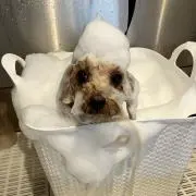 みー