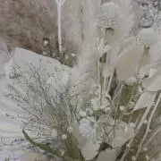 aaaの画像