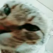 T*N