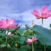 ＾＾ももの画像
