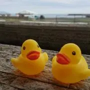 【只今、断捨離中】ハピネスの画像