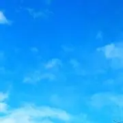 あっちゃんの画像