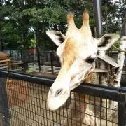 みずさん