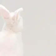 ♡ メルちゃんの画像