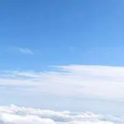 ミの画像