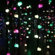 ピーチの画像