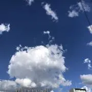れもん