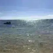 らいむ