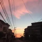 yvngの画像