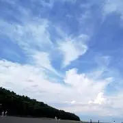 moriの画像