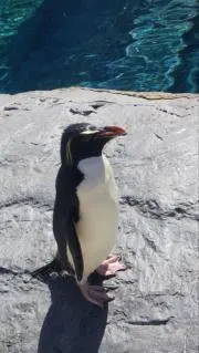 DAISUKEの画像