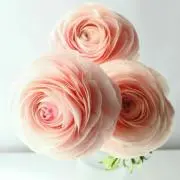 ❁︎リンリン❁︎断捨離中！お値下げOK！の画像