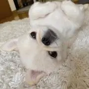 たろ
