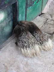 ゆう