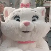 まありんの画像