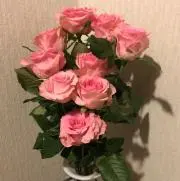 にこりんの画像