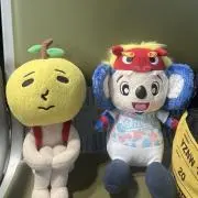 ドラあやゆずの画像