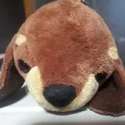 ランちゃん