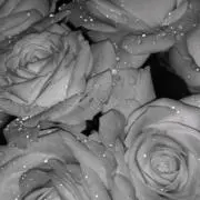 ₐₖₐₙₑ【売り切りSALE】の画像