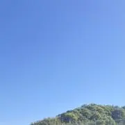 akaneの画像