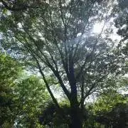 なゆの画像