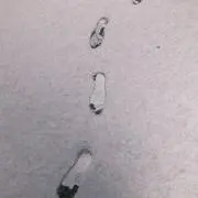 ぴょんぴょんの画像