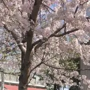 happy5の画像