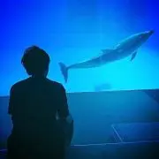 パンサー