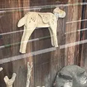 こうさぎの画像