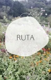 RUTA